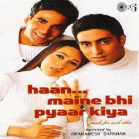 haan maine bhi pyaar kiya movie