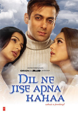 Dil Ne Jise Apna Kahaa (2004) Full Movie Watch Online HD Download