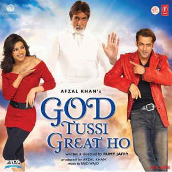 God Tussi Great Ho (2008) Full Movie Watch Online HD Download