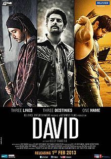 David (2013) Hindi Full Movie Watch Online HD Free Download