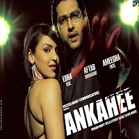 Ankahee (2006) Hindi Watch Full Movie Online DVD Print Free Download