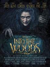 Into the Woods (2014) English Watch Full Movie Online DVD Free Download