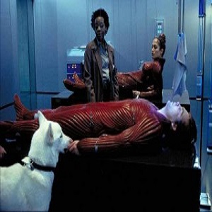 The Cell (2000) Hindi Dubbed Full Movie Watch Online DVD Download