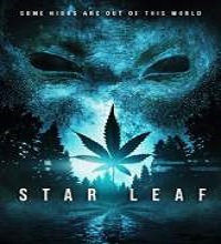 Star Leaf (2015) Watch Full Movie Online DVD Free Download