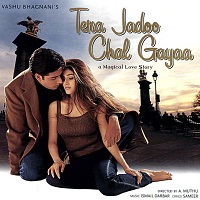 Tera Jadoo Chal Gayaa (2000) Full Movie Watch Online HD Print Free Download