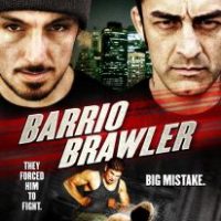 American Brawler 2013 Hindi Dubbed