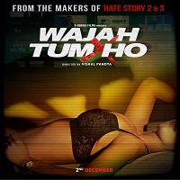 Wajah Tum Ho (2016) Full Movie Watch Online HD Print Free Download