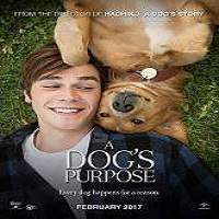 A Dog’s Purpose (2017) Full Movie Watch Online HD Print Free Download