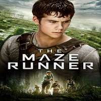 The Maze Runner (2014) Full Movie Watch Online HD Print Free Download