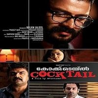 Payback (Cocktail 2020) Hindi Dubbed Full Movie