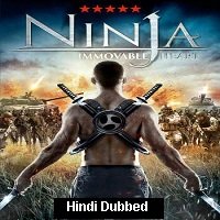 Ninja Immovable Heart (2014) Hindi Dubbed Full Movie