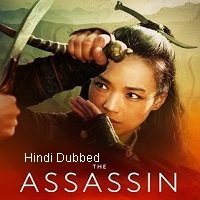 The Assassin (2015) Hindi Dubbed Full Movie Watch Online HD Print Free Download