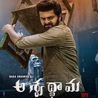 Aswathama (2021) Hindi Dubbed Full Movie Watch Online