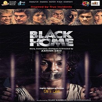 Black Home (2014) Hindi Dubbed Full Movie Watch Online
