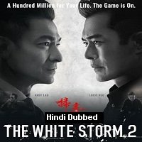 The White Storm 2: Drug Lords (2019) Hindi Dubbed Full Movie Watch Online HD Print Free Download