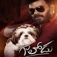 Gaalodu (2023) Unofficial Hindi Dubbed Full Movie Watch Online HD Print Free Download