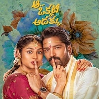 Aa Okkati Adakku (2024) Unofficial Hindi Dubbed Full Movie Watch Online