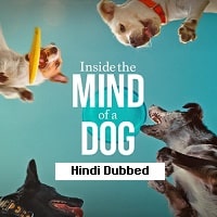 Inside the Mind of a Dog (2024) Hindi Dubbed Full Movie Watch Online HD Print Free Download