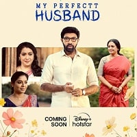 My Perfectt Husband (2024) Hindi Season 1 Complete Watch Online HD Print Free Download