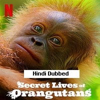 Secret Lives of Orangutans (2024) Hindi Dubbed Full Movie Watch Online HD Print Free Download
