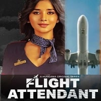 The Flight Attendant (2024) Hindi Season 1 Complete Watch Online HD Print Free Download