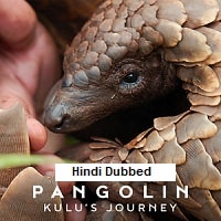 Pangolin: Kulus Journey (2025) Hindi Dubbed Full Movie Watch Online HD Print Free Download