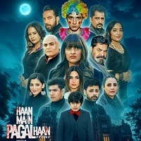 Haan Main Pagal Haan (2025) Punjabi Full Movie Watch Online HD Print Free Download