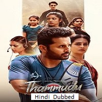 Thammudu (2025) Hindi Dubbed